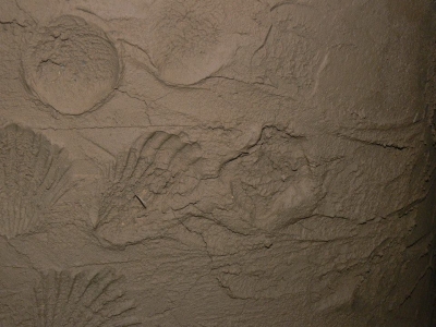 otisky v hliněné omítce se dělají jednoduše